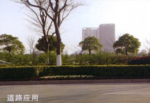 道路